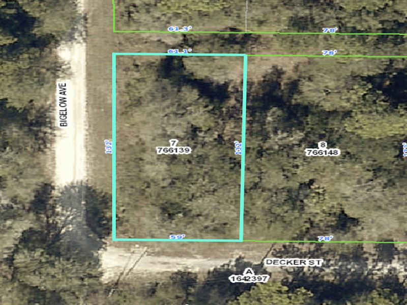 Agricultural Zoning, Flexible Uses : Webster : Hernando County : Florida