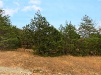 Build or Invest Northern Arkansas : Diamond City : Boone County : Arkansas