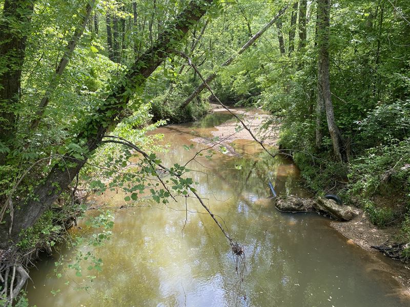 TN Land, Creeks, Open & Wooded : Adamsville : Hardin County : Tennessee