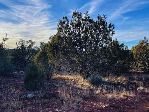 Access Nature Easily $175-$350/Mo : Seligman : Yavapai County : Arizona