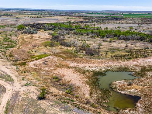 Purgatoire 250 : Las Animas : Bent County : Colorado