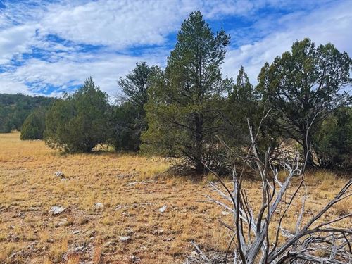 Next to Public Land for $275-450/Mo : Seligman : Yavapai County : Arizona