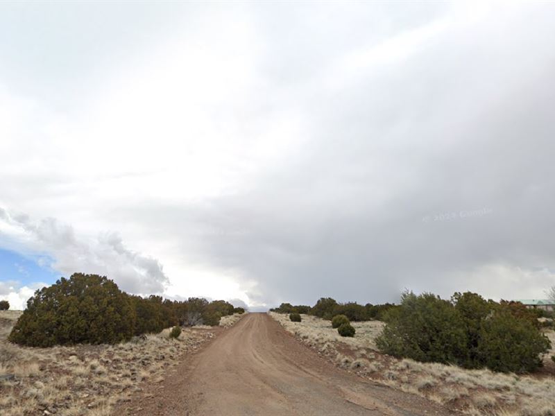 Prime Homesite in Concho at $131/Mo : Concho : Apache County : Arizona