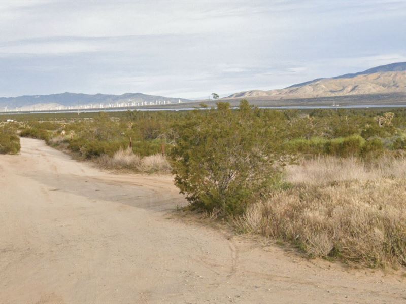 More Than Land : Rosamond : Kern County : California
