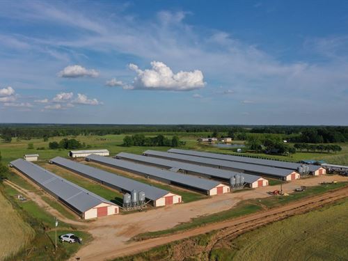 Dayquans Broiler Farm : Abbeville : Wilcox County : Georgia