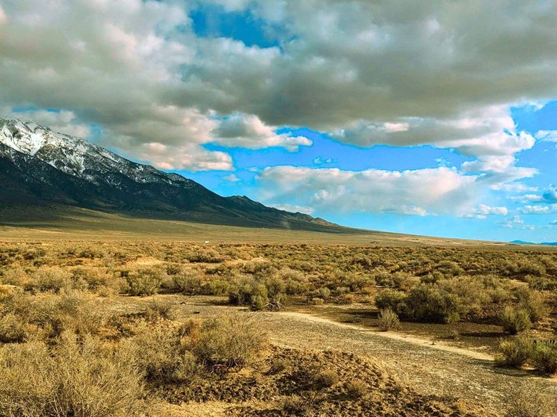 Escape to Your Private Sanctuary : Montello : Elko County : Nevada