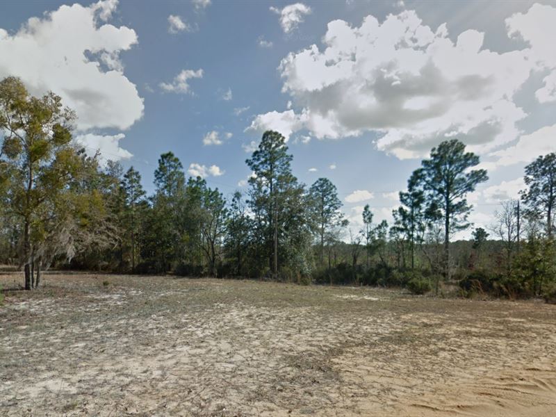 Your Florida Legacy Starts Here : Interlachen : Putnam County : Florida