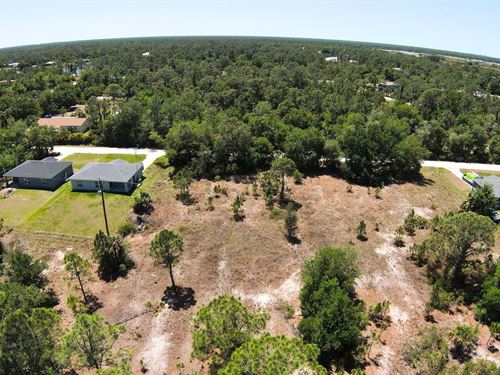 Sunny Days Ahead : Punta Gorda : Charlotte County : Florida