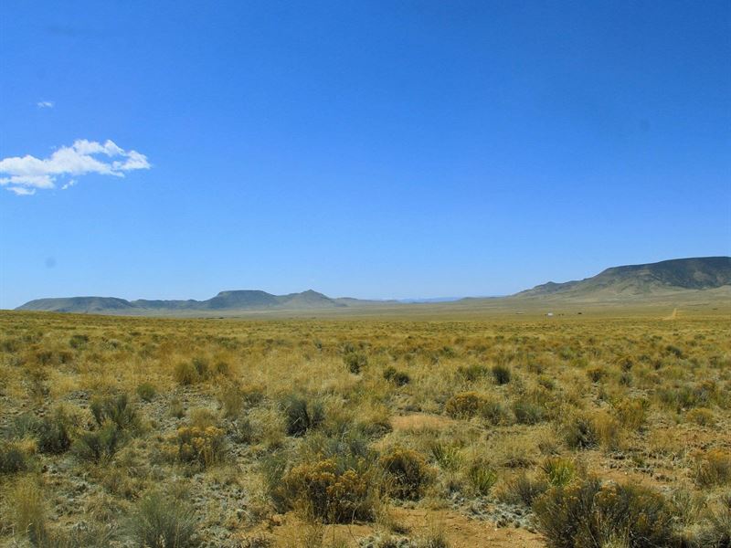 Claim Your Rocky Mountain Basecamp : Sanford : Costilla County : Colorado
