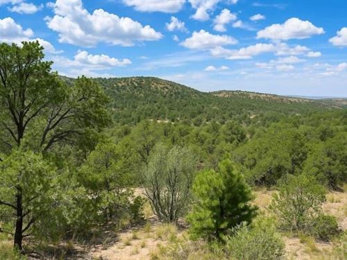 Set Up Your Off-Grid Life : Timberon : Otero County : New Mexico