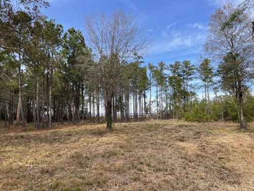 Waterfront Lot for Sale Beaufort NC : Beaufort : Carteret County : North Carolina