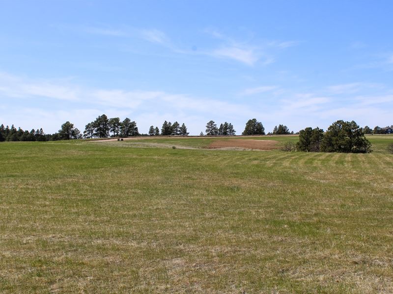 Williams Acreage : Belle Fourche : Butte County : South Dakota