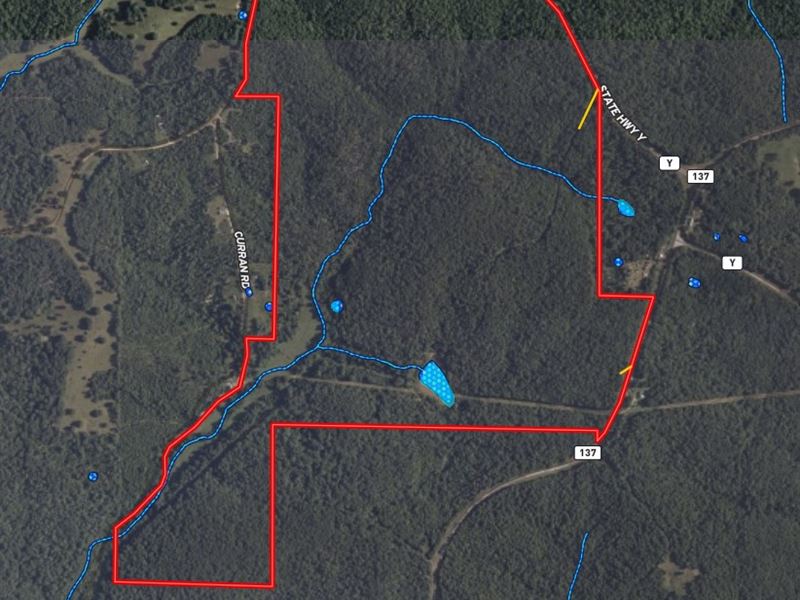 269 Acres, Recreational Paradise : Willow Springs : Texas County : Missouri