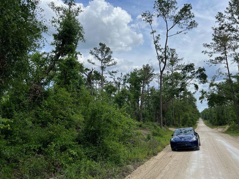 Live in Freedom on Your Land : Live Oak : Suwannee County : Florida