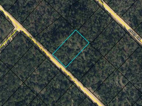 1.14 Acres in Compass Lake Hills : Marianna : Jackson County : Florida