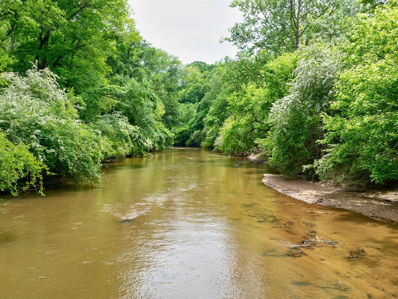 Whitetail Ridge Tract : Carlton : Oglethorpe County : Georgia