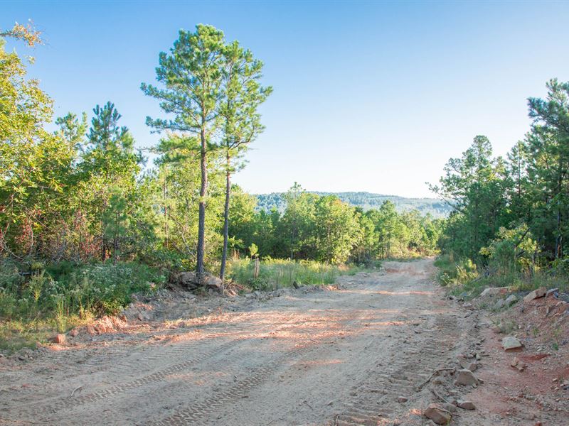 Hunting Land, $999 Down, No Credit : Wilburton : Latimer County : Oklahoma