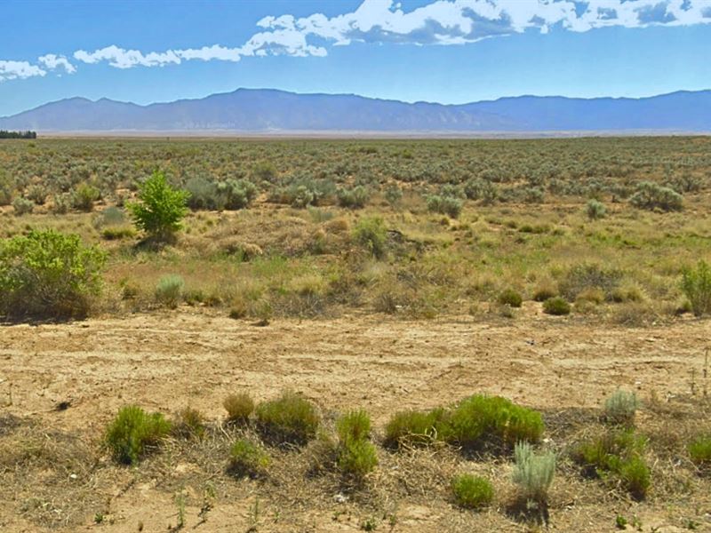 Investment Potential, Level Lot : Los Lunas : Valencia County : New Mexico