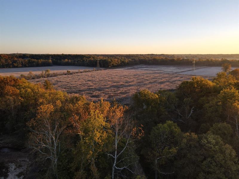 Sugar Creek 68 Tillable : West Terre Haute : Vigo County : Indiana