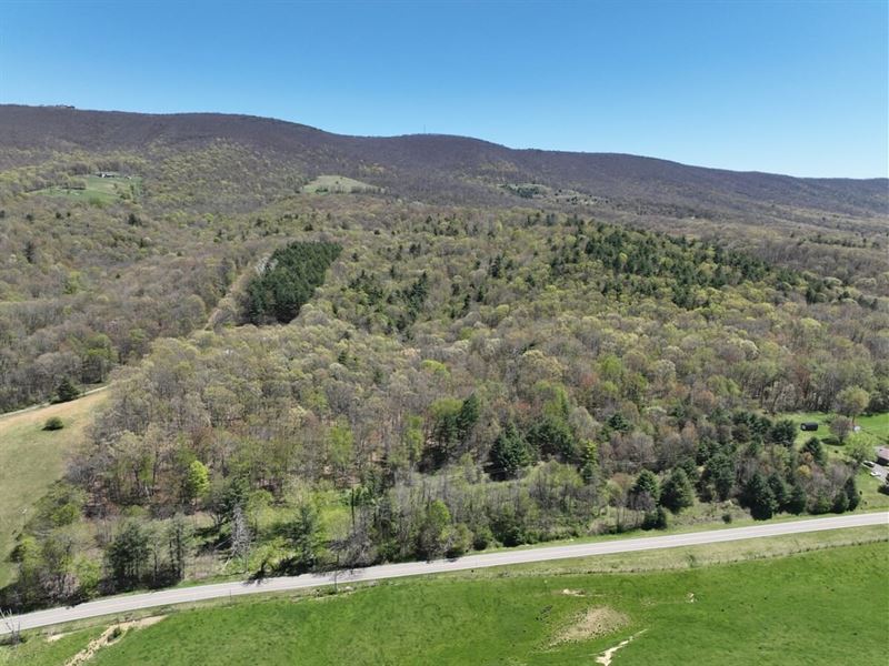 23.61 Acres of Hunting, Recreationa : Hot Springs : Bath County : Virginia