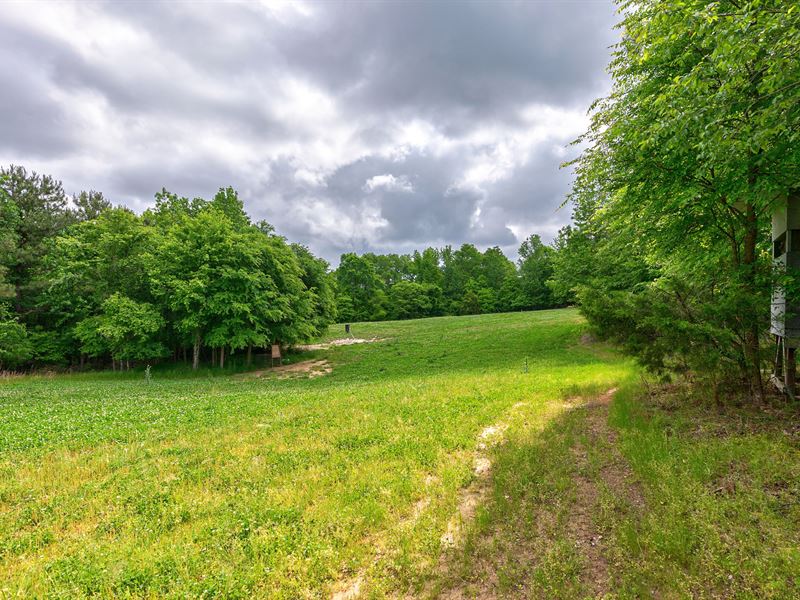 1568 Lexington Carlton Road Tract : Carlton : Oglethorpe County : Georgia