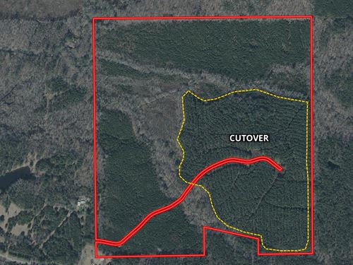 Attwood 166 Acres Attala County, MS : Kosciusko : Attala County : Mississippi