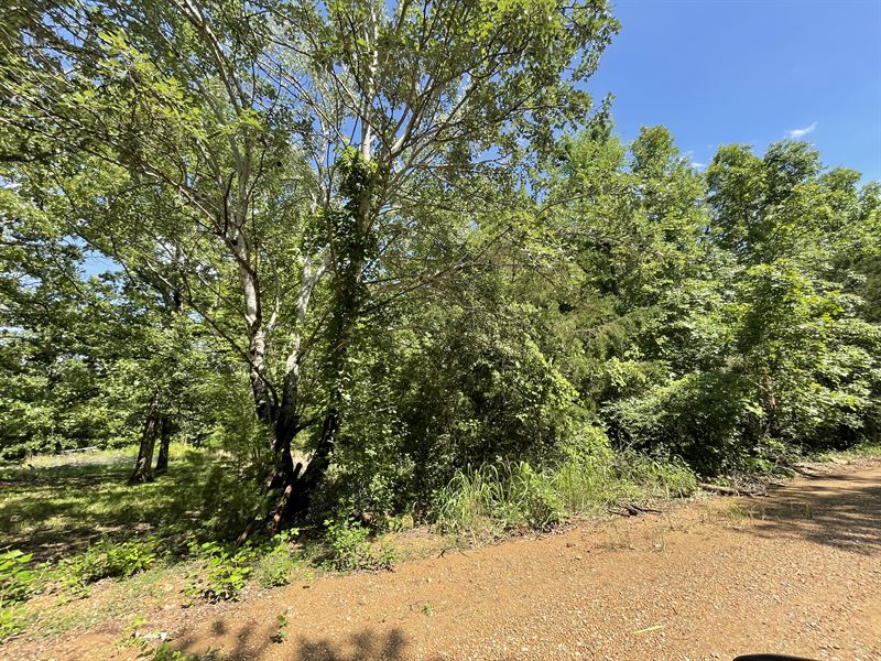 47.88 Acres Bradford, Ar, Ofa : Bradford : Independence County : Arkansas