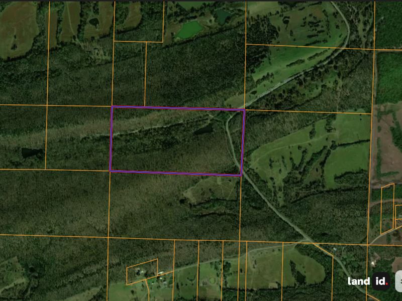 80 Acres Vilonia Ar, Ofa : Vilonia : Faulkner County : Arkansas