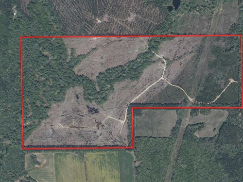 Lockhart 248, Lauderdale Co. MS : Meridian : Lauderdale County : Mississippi