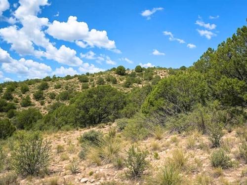 Trade City Lights for Starry Nights : Timberon : Otero County : New Mexico
