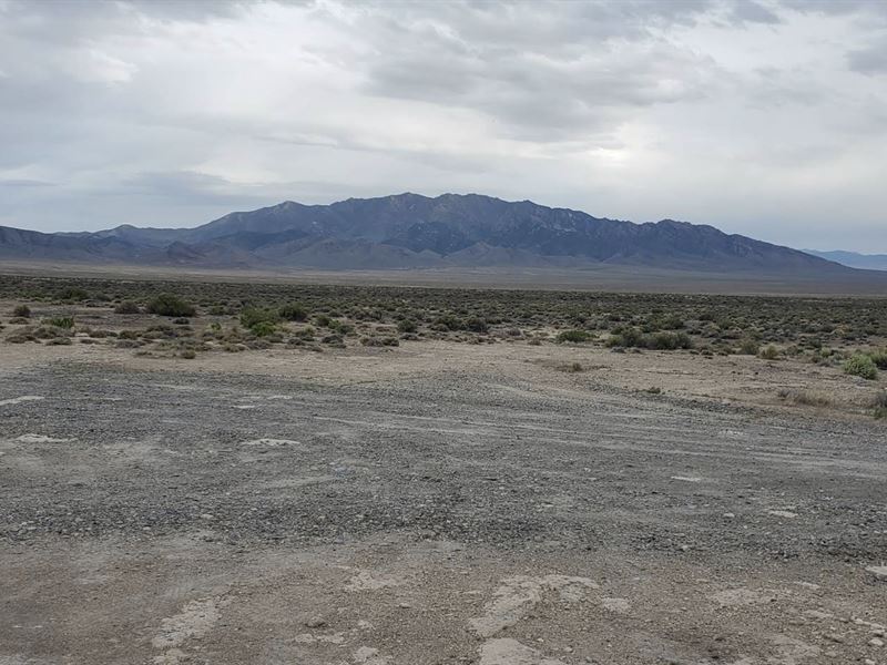 Blm and Hot Springs- Buy, Nature : Imlay : Pershing County : Nevada