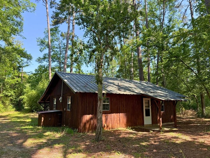 156 Bald Eagle Drive, Livingston : Livingston : Polk County : Texas