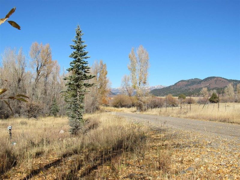 Sunflower Drive : Chama : Rio Arriba County : New Mexico