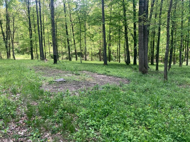9+ Acres, Unrestricted : English : Crawford County : Indiana
