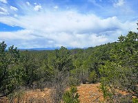 322 & 323 Rancho LA Garita 35 Acr : Weston : Las Animas County : Colorado
