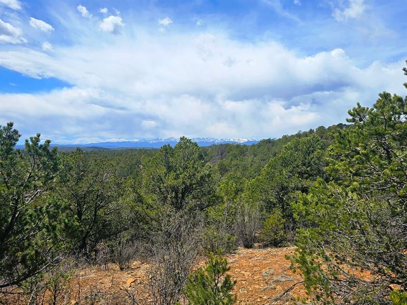 322 & 323 Rancho LA Garita 35 Acr : Weston : Las Animas County : Colorado