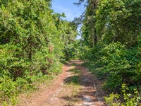 Georgetown FL Land Deal : Georgetown Cove : Putnam County : Florida