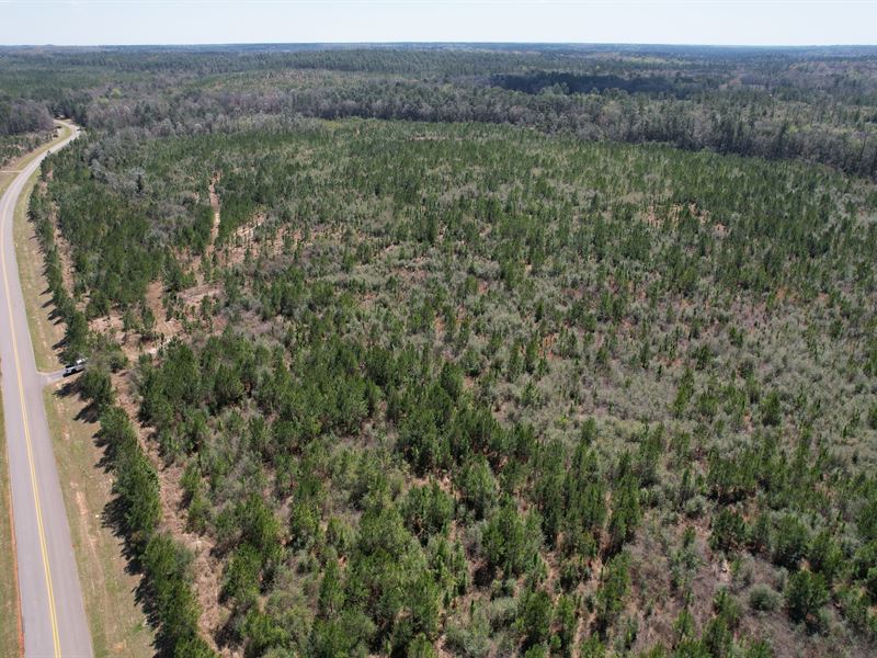 Masons Ferry South-373 Acres-Mobile : Wilmer : Mobile County : Alabama