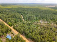 Residential Lot Under $13K : Interlachen : Putnam County : Florida