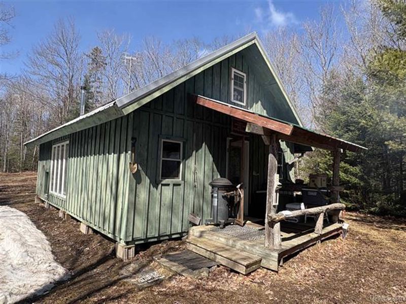 Remote Off Grid 80 A, Cabin 501736 : Covington : Baraga County : Michigan