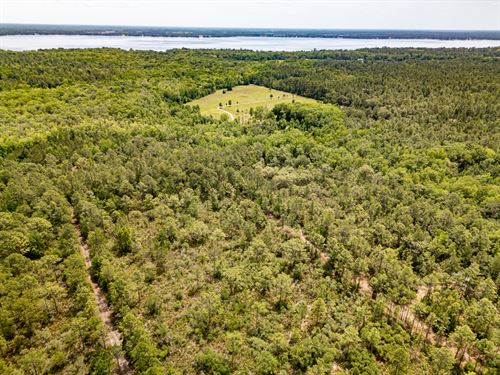 Build Your Dream Home Here : Federal Point : Putnam County : Florida