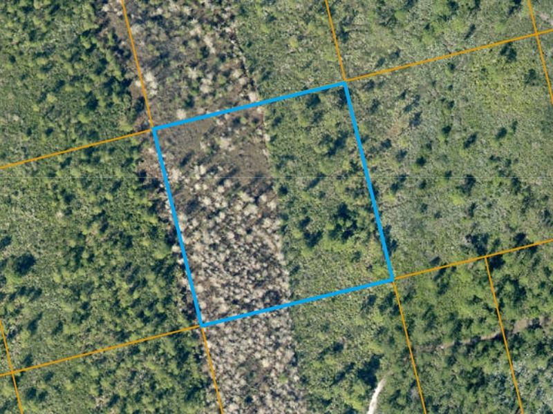 Recreational Lot in Volusia County : Oak Hill : Volusia County : Florida