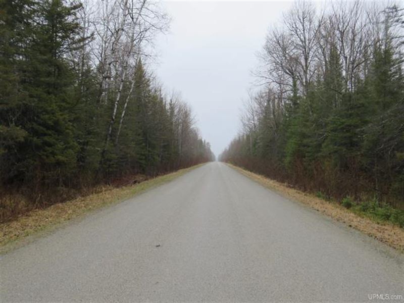 80 Acre Woodland Retreat : Rapid River : Delta County : Michigan