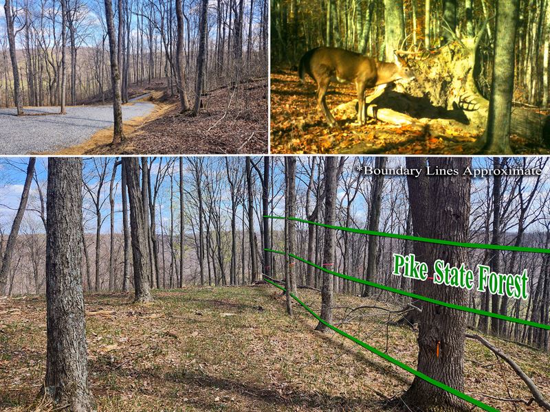 Tract 4, Pike Lake Getaway : Bainbridge : Pike County : Ohio
