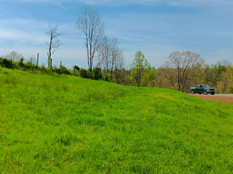 Tract 5 at Crown Wildlife Retreat : Crown City : Gallia County : Ohio