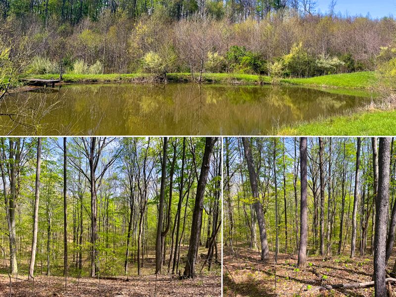 Tract 13, Albany Woods : Albany : Meigs County : Ohio