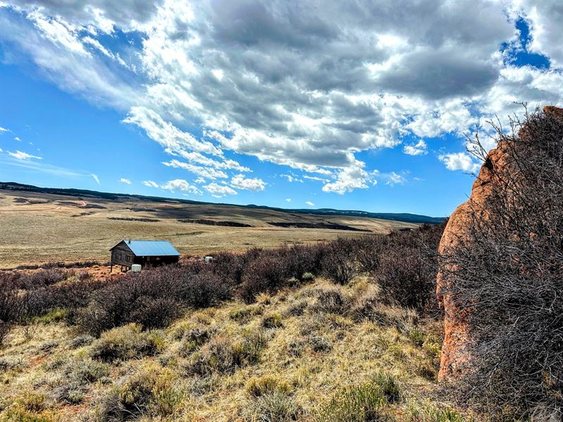 Buffalo Run : Red Feather Lakes : Larimer County : Colorado