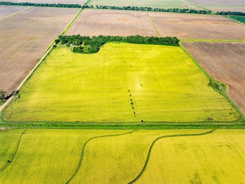 40 Acres, Row Crop With Home Si : Weiner : Poinsett County : Arkansas
