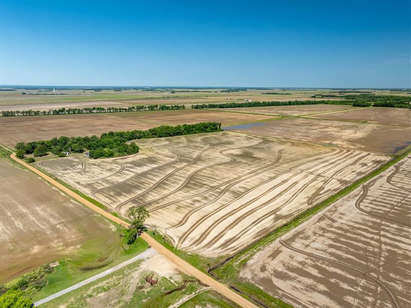 40 Acres, Row Crop with Home Si : Weiner : Poinsett County : Arkansas