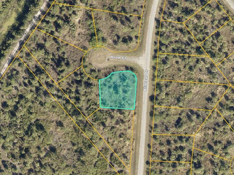 Beautiful Corner Lot in North Port : North Port : Sarasota County : Florida